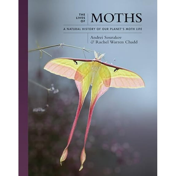 Pre-Owned The Lives of Moths: A Natural History of Our Planet's Moth Life (Hardcover) 0691228566 9780691228563