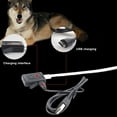 thumbnail image 4 of SPRING PARK Safety Anti-lost LED Dog Collar – USB Rechargeable with Resistant Flashing Light Collar Necklace, 4 of 7