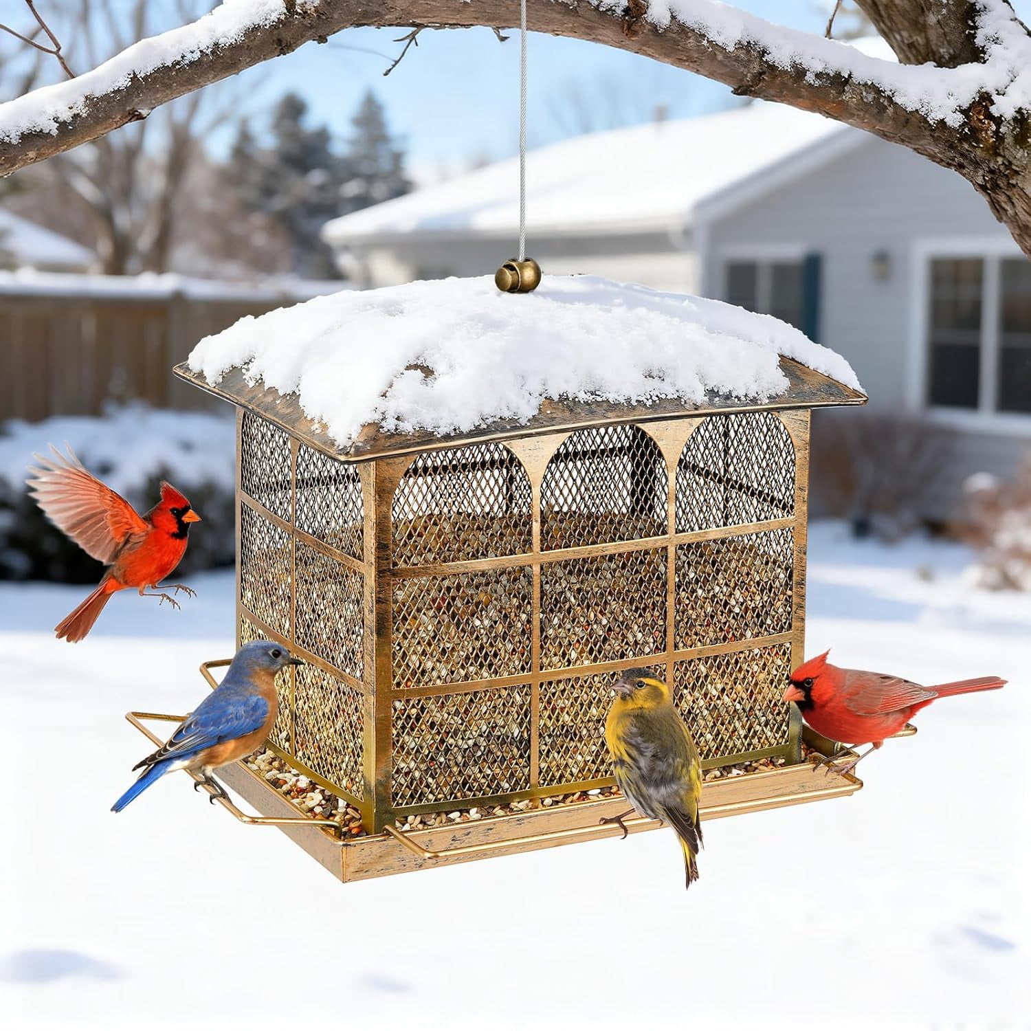 Large Bird Feeder, Heavy Duty Metal Bird Feeders for Outdoor Hanging, 9.5LB Seed Capacity Wild Birdfeeder for Outside Garden Decoration