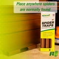 thumbnail image 4 of RESCUE! Indoor Outdoor Spider Trap, 3 Pack, 4 of 8