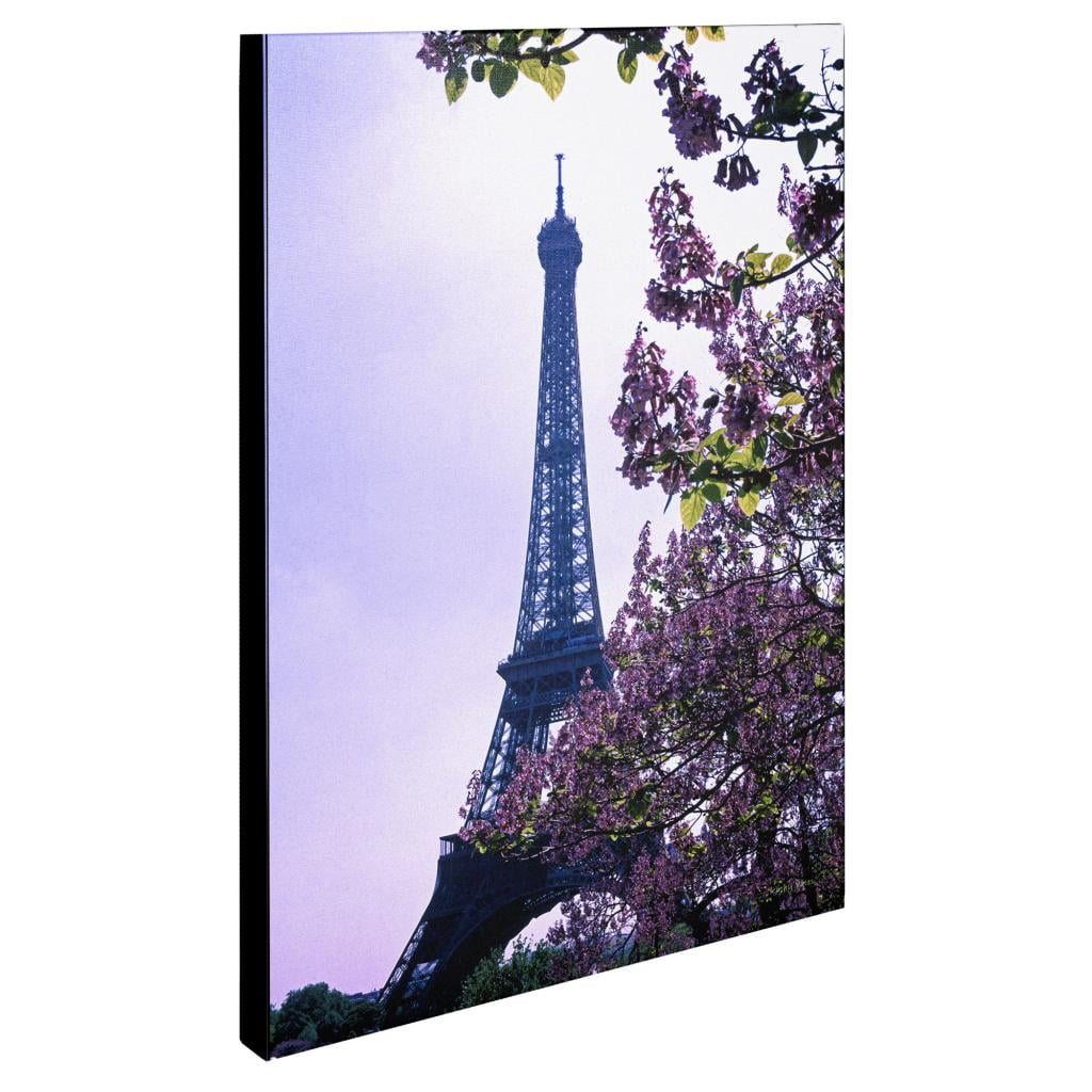 Trademark Fine Art 'Eiffel Tower with Blossoms' Canvas Art by Kathy Yates