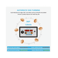 thumbnail image 2 of Smart Thermostat Digital ZFX-W9002 Thermostat Temperature Humidity Control Incubator 360 Automatic Egg Turning 12V, 2 of 5
