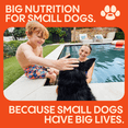 thumbnail image 4 of Small Matters Adult Dog Food for Small Dogs, Salmon & Brown Rice Recipe, 4lb bag, 4 of 9