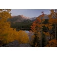 thumbnail image 2 of Grall, Don 14x11 Gold Ornate Wood Framed with Double Matting Museum Art Print Titled - CO, Rocky Mts Aspen trees frame Longs Peak, 2 of 4