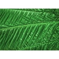 thumbnail image 1 of Ahgly Company Indoor Rectangle Patterned DarkGreen Area Rugs, 2' x 5', 1 of 6