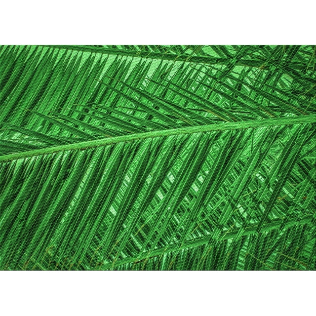 Ahgly Company Tapis Rectangulaire d'Intérieur Lavable en Machine Vert Foncé Transitionnel, 7 Pieds x 9 Pieds