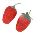 thumbnail image 3 of Fruit Fruit Shaker Maraca Learning Resource Plastic Percussion Shapes Fruit Shaker Set for 6+ Months, 3 of 8