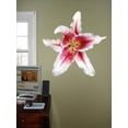 thumbnail image 2 of Hollis White Stargazer Lily Wall Decal Cutout, 2 of 2