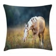 thumbnail image 1 of Farm Animal Throw Pillow Cushion Cover, Blurry Backdrop Photo of Beautiful Palomino Horse Grazing at Sunrise Pasture, Decorative Square Accent Pillow Case, 20" X 20", Multicolor, by Ambesonne, 1 of 2