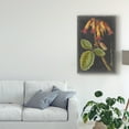 thumbnail image 3 of Trademark Fine Art 'Dramatic Tropicals III' Canvas Art by Vision Studio, 3 of 4
