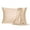Champagne, variant on PiccoCasa Soft Silky Satin Pillowcases Zipper 2 Pack, Queen Navy