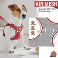 thumbnail image 1 of Dog Harness and Leash Set, Adjustable Step in Pet Vest Harness Soft Easy Walk, No Chock Puppy Harness for Small Medium Dogs, 1 of 4