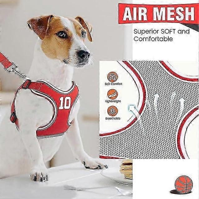 Dog Harness and Leash Set, Adjustable Step in Pet Vest Harness Soft Easy Walk, No Chock Puppy Harness for Small Medium Dogs