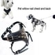 thumbnail image 2 of Spiked Studded Leather Puppy Dog Harness Vest for Small Breeds, 2 of 5