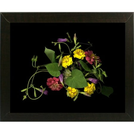 Winston Porter Morning Glory, Zinnias, and Marigolds Photographic Print