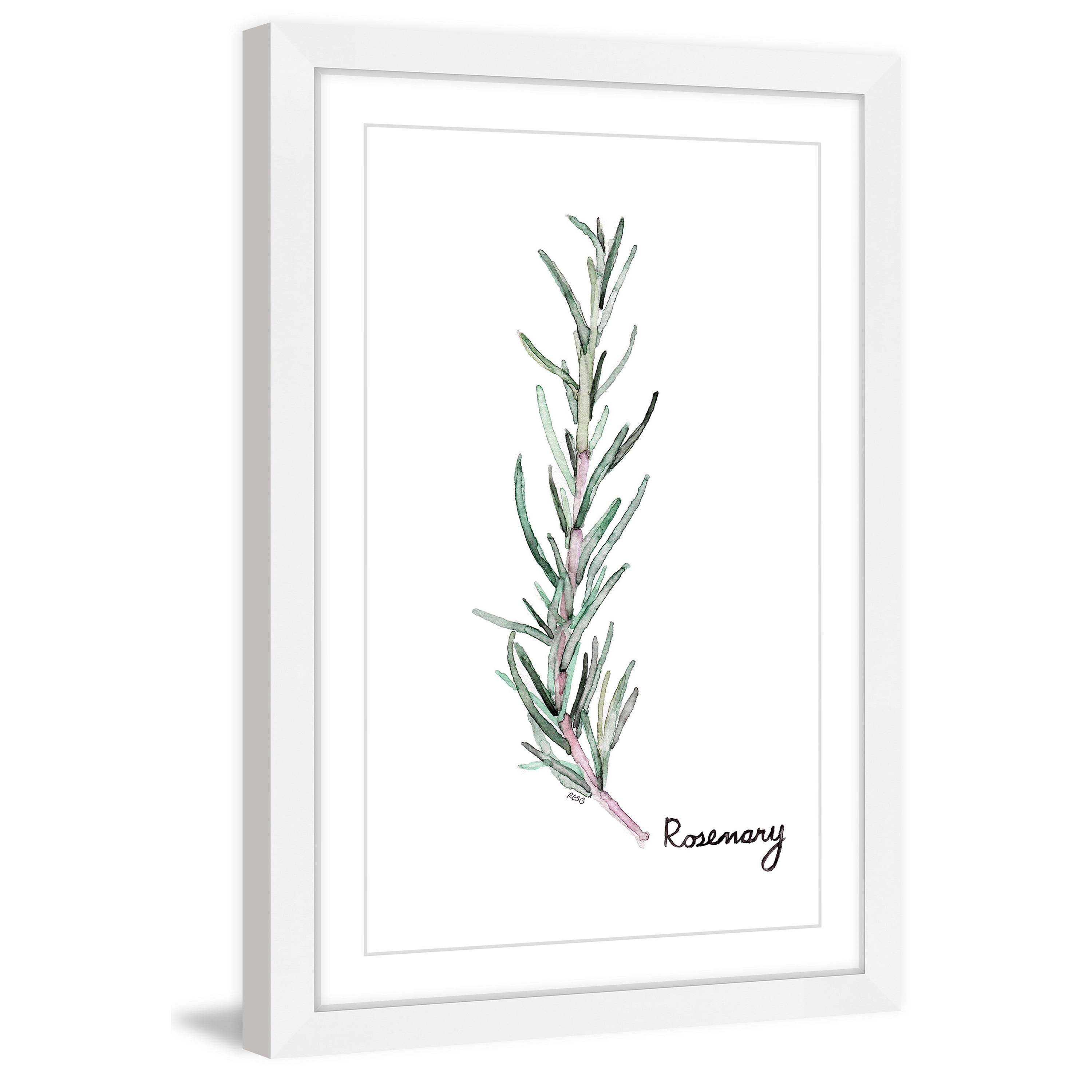 "Herb Rosemary" by Rachel Byler Framed Painting Print