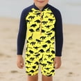 thumbnail image 3 of Fozruso Kids Boys Swimwear UPF 50+ Sun Swimsuit With Rash Guard For Toddler And Youth Comfortable Swim Set Swimwear Sets Sizes 5-6 Years, 3 of 5