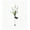 E, variant on ICQOVD Waterproof Halloween Lights,Wooden Halloween Lighted Box,LED Table Lamp Night Light for Halloween Home Tabletop Decoration,Outdoor Halloween Decorations Lights