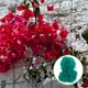 thumbnail image 2 of Planta enrejado de enrejado jardín enrejado red conveniente enrejado de flores redes, 2 of 5