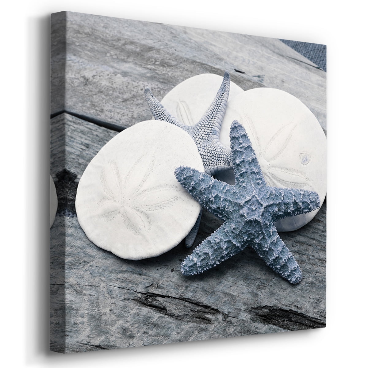 Wexford Home Beach Wall Décor Seashell Picture Prints Set of 4 Canvas Wall Art 24 x 24 inches Each Solid Wood Artwork for Cabin Home Office