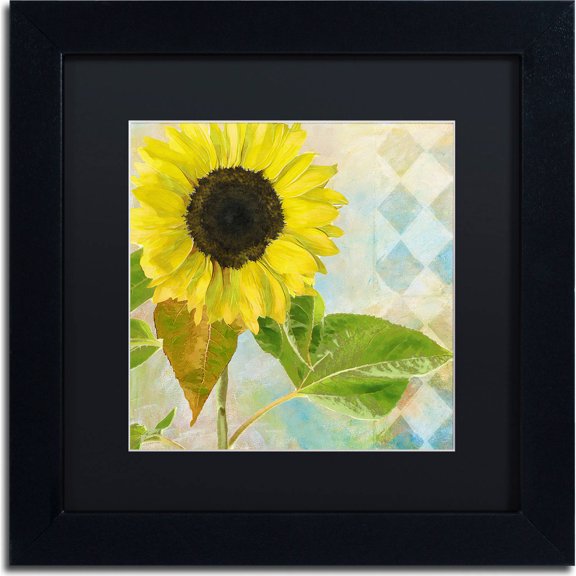 Trademark Fine Art "Soleil III" Canvas Art by Color Bakery, Black Matte, Black Frame
