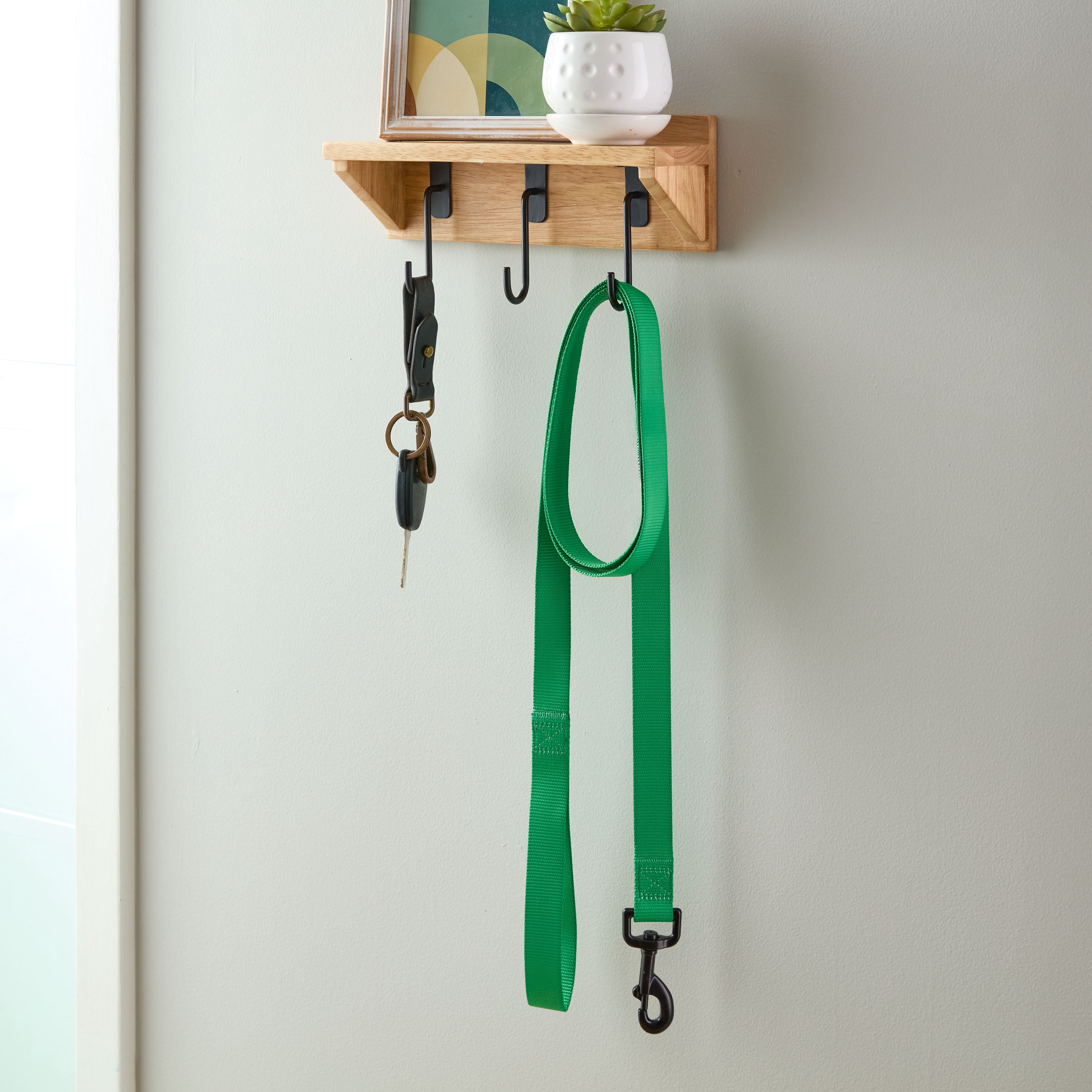 Vibrant Life 4' Polyester Standard Dog Leash, Green