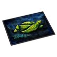 thumbnail image 1 of Okra Bleu Doormat Front Door Mat Indoor Rugs for Entryway, Non Slip Washable 16x24 Inch, 1 of 5