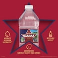 thumbnail image 4 of Ozarka Texas Spring Water, 20 Fl Oz, Single Plastic Bottle, 4 of 12