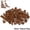 Brown-100Pcs, variant on 100Pcs Bulk Parts Thin Bricks 12 Size Mixed 15 Color Building Blocks Figures MOC Model Educational Construction Toy for Kid Gift