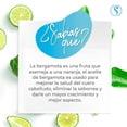thumbnail image 4 of Sheló NABEL Shampoo de Bergamota 530 ml para Cabello Graso, 4 of 8