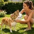 thumbnail image 4 of Breathable Adjustable Dog Head Net, Foxtail Protection Mesh Head Guard For Small & Medium Dogs, Outdoor Travel Camping Use, 4 of 6