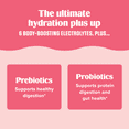 thumbnail image 6 of Ultima Replenisher Gut Health Supplement & Electrolytes Powder - Raspberry Lemonade, 14 Stickpacks - Hydration Packets with Added Gut Health Benefits, 6 of 10