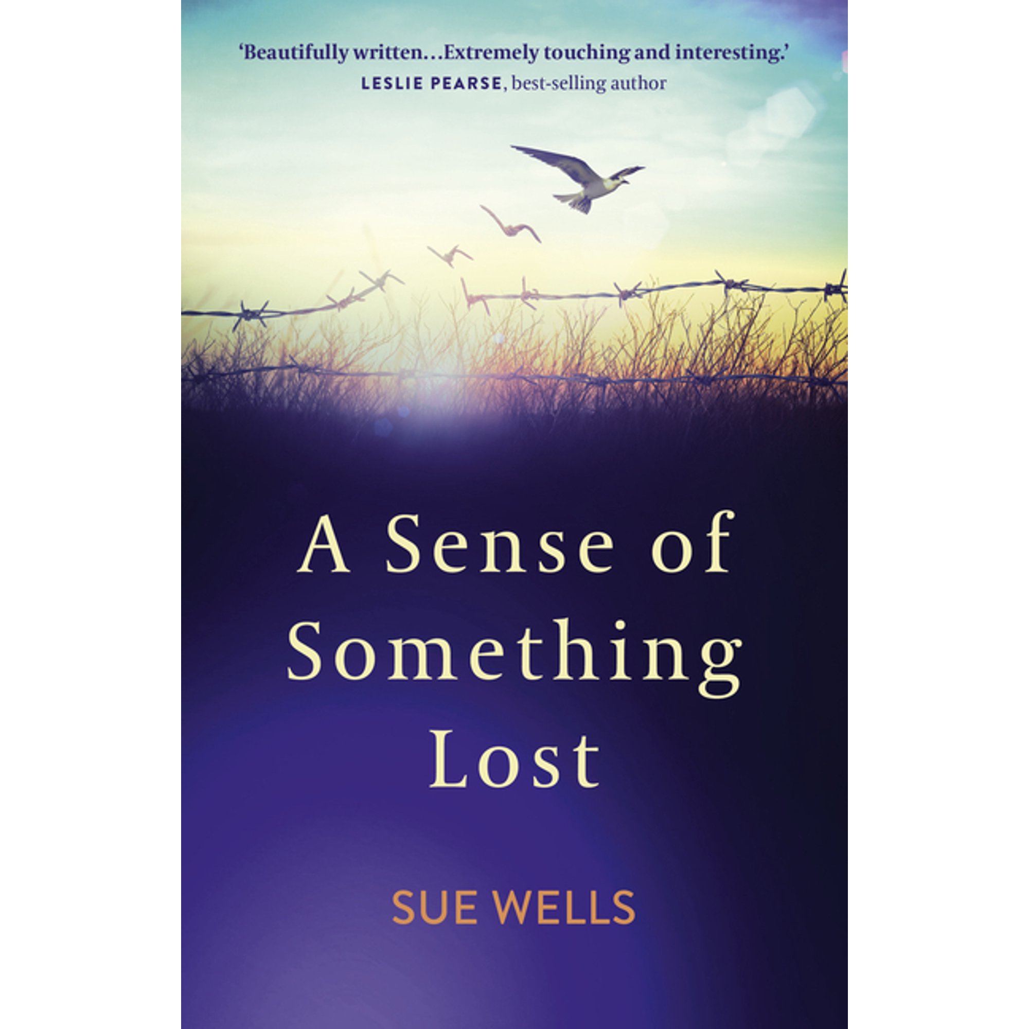 A Sense of Something Lost: Learning to Face Life s Challenges (Paperback)