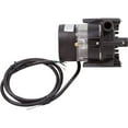 thumbnail image 5 of Laing Thermotech 6050U0015 E-10 115V 0.75" Barb 4' Bare Cord Circulation Pump, 5 of 5