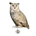 Owl Decoy to Scare Birds Away Scarecrow, Fake Owl Statue for Home