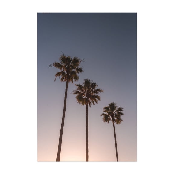 Palms, Dana Point - Dana Point California Photography Unframed Wall Art Print 5 x 7 inches