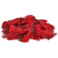 thumbnail image 1 of Paquete de 300 plumas decorativas de gallina de guinea para decoración artesanal DIY figura decorativa de Pascua y Navidad, 1 of 7