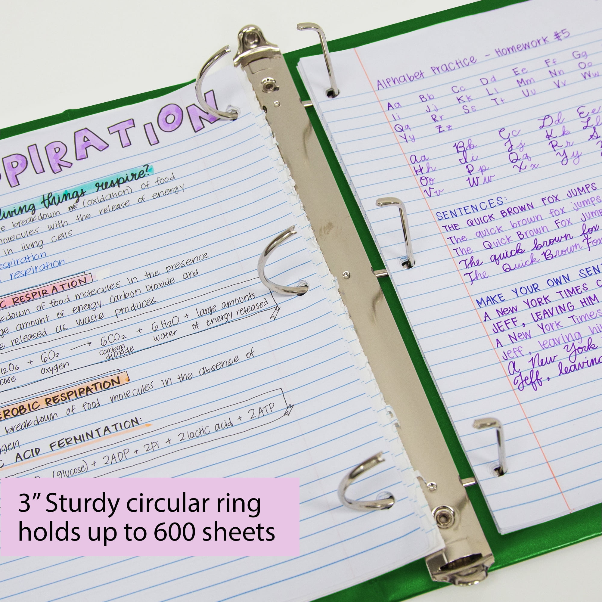 BAZIC 3 Ring Binder 3" View Binders Slant D Ring Green, Hold 600 Sheets, 2-Count