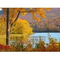 thumbnail image 2 of Gulin, Sylvia 32x25 Gold Ornate Wood Framed with Double Matting Museum Art Print Titled - USA-New Hampshire-Franconia-small lake surrounded by Fall color of Maple-White Birch-and American B, 2 of 4