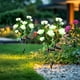 thumbnail image 4 of Luces de flores de rosa solar para exteriores | 5 Cabezas | Decorativo de jardín impermeable | Iluminación de césped de villa de patio con energía solar | Rojo Amarillo Azul Rosa Blanco | Paquete de, 4 of 6