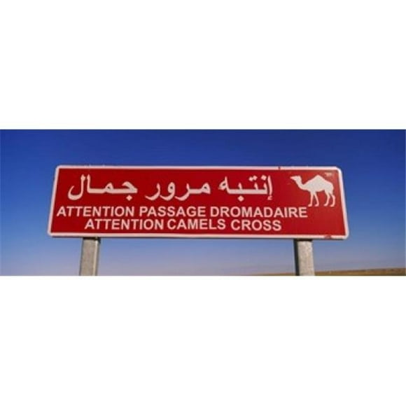 Panoramic Images PPI101936L Low angle view of a camel crossing signboard Douz Tunisia Poster Print by Panoramic Images - 36 x 12