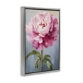 thumbnail image 3 of Stupell Industries Cottage Blush Pink Carnation Gray Floating Frame Canvas Art, 21 x 31, by Petals Prints Design, 3 of 8