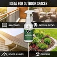 thumbnail image 6 of Donaldson Farms Bird Repellent Spray – Outdoor Formula to Keep Birds Away – Pigeon, Woodpecker, Sparrow, Duck & Goose Deterrent – Efficient Bird Spray for Roofs, Yards, Patios, Balconies, Homes, 6 of 8