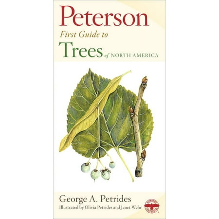 Peterson First Guide Peterson First Guide to Trees (Paperback)