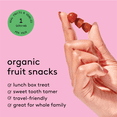 thumbnail image 6 of Kencko Berrylicious Organic Fruit Snacks, 5.6oz, 8 Pack, 6 of 14