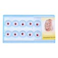 thumbnail image 3 of 10 Pcs/Box Clear Dental Tooth Nail Decoration Crystal Gem Rhinestone Red, 3 of 5