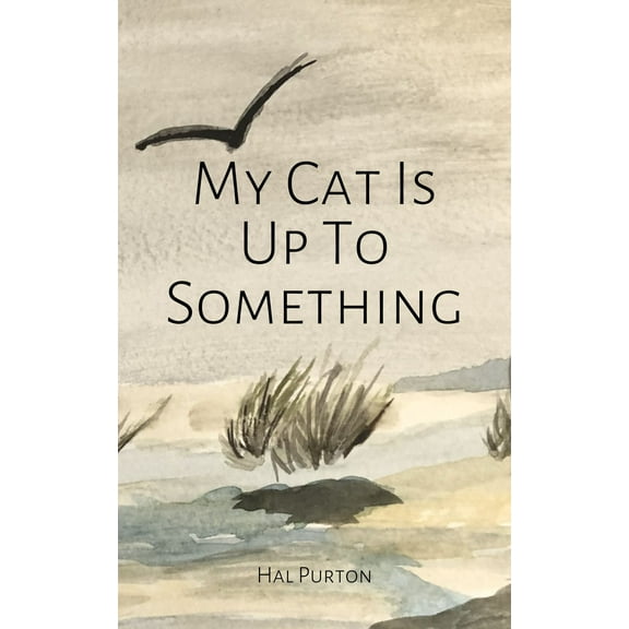 My Cat Is Up To Something (Paperback)