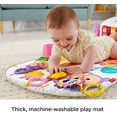 thumbnail image 4 of Fisher-Price Deluxe Kick & Play Piano Gym, 4 of 8