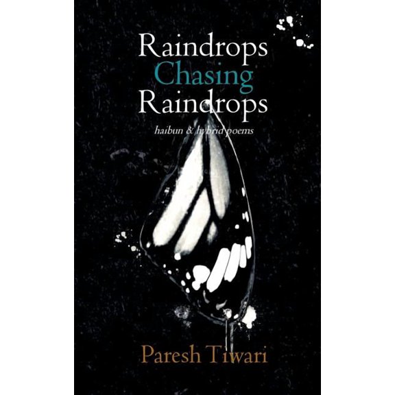 Raindrops Chasing Raindrops : Haibun and Hybrid Poems (Paperback)
