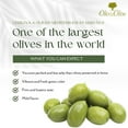 Large di Cerignola Green Italian Olives - Vacuum Packed and Less Salty ...